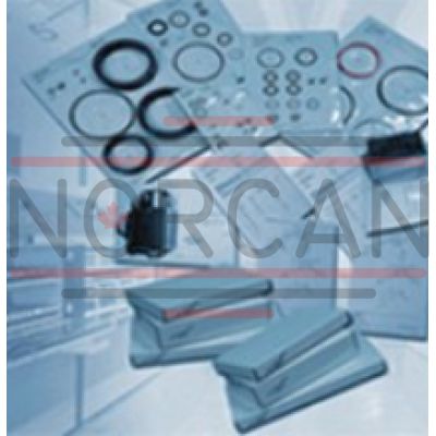 Bosch Rexroth-R900357571-R900357571