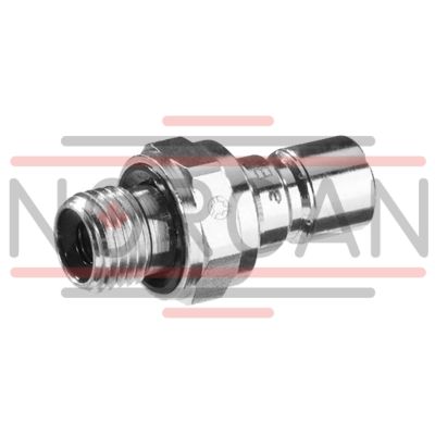 Bosch Rexroth-R961000482-R961000482