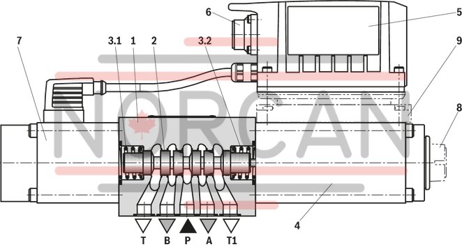 technical illustration-R901396516-Size 10, symbol E, integrated electronics, 24 V DC