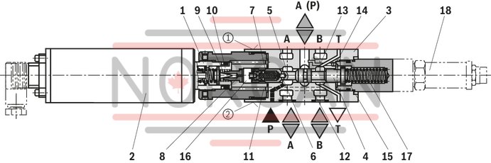 technical illustration-R901025495-Size 6, P2 &rarr; P1, electrical with external electronics, 24 V DC