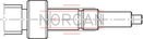 technical illustration-R159111220-Assembly group pillow block unit SEB-F, size 20 x 5/10/20/40