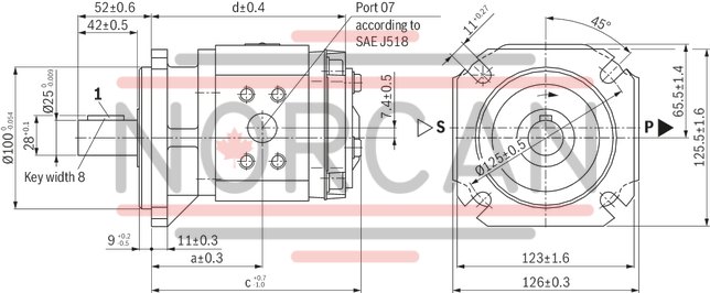 technical illustration-R900245715-INTERNAL GEAR PUMP, size 6, pressure 250 bar for industrial and mobile applications, open circuit