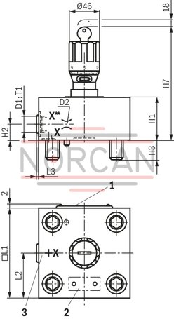 technical illustration-R901220100-With remote control port With stroke limitation